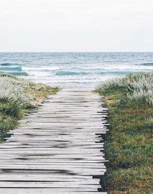 竞技体育 喵趣漫画